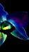 nokia c7 3d effect magic flower